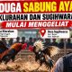 Lapor Pak Kapolres Nganjuk! Sabung Ayam di Klurahan dan Sugihwaras Di Duga Mulai Menggeliat.
