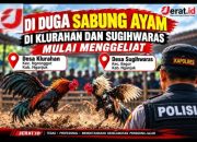 Lapor Pak Kapolres Nganjuk! Sabung Ayam di Klurahan dan Sugihwaras Di Duga Mulai Menggeliat. 8 IMG 20261024 WA0034
