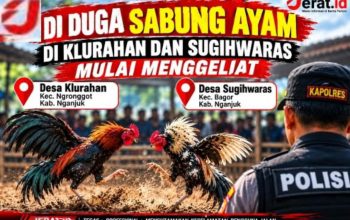 Lapor Pak Kapolres Nganjuk! Sabung Ayam di Klurahan dan Sugihwaras Di Duga Mulai Menggeliat. 2 IMG 20261024 WA0034