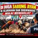 Lapor Pak Kapolres Nganjuk! Sabung Ayam di Klurahan dan Sugihwaras Di Duga Mulai Menggeliat.