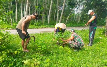 Jaga Kelestarian Lingkungan, Babinsa Ngadirejo Bersama Warga Gotong Royong Tanam Pohon Saman Dan Trembesi 3 IMG 20261024 WA0042