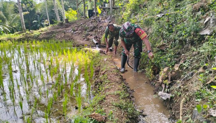 Wujud Kemanunggalan TNI Dan Rakyat, Babinsa Kedungbanteng Bersama Warga Gotong Royong Bersihkan Irigasi Sawah