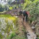 Wujud Kemanunggalan TNI Dan Rakyat, Babinsa Kedungbanteng Bersama Warga Gotong Royong Bersihkan Irigasi Sawah